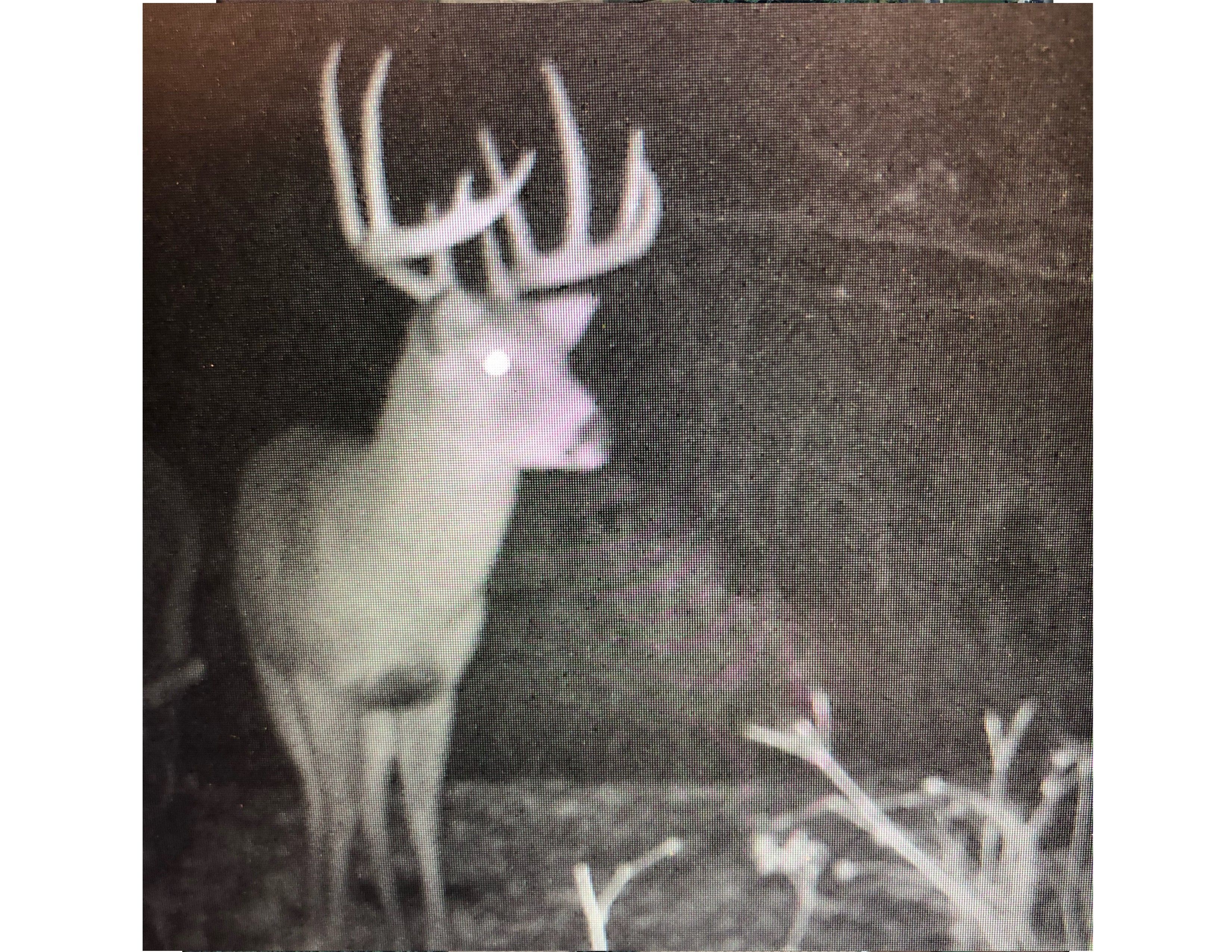 Listing Photo: Deer Marine 3